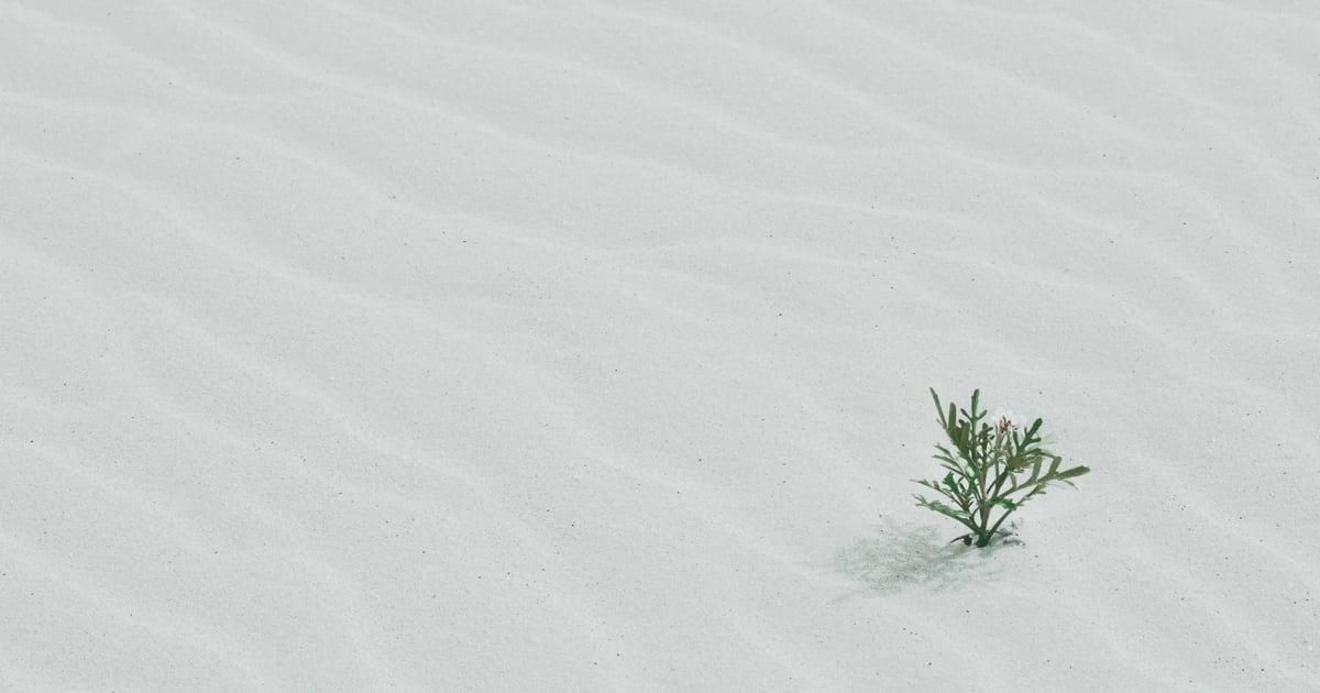 放下 AI，享受假期：我的烦恼越来越多，但我不烦恼了