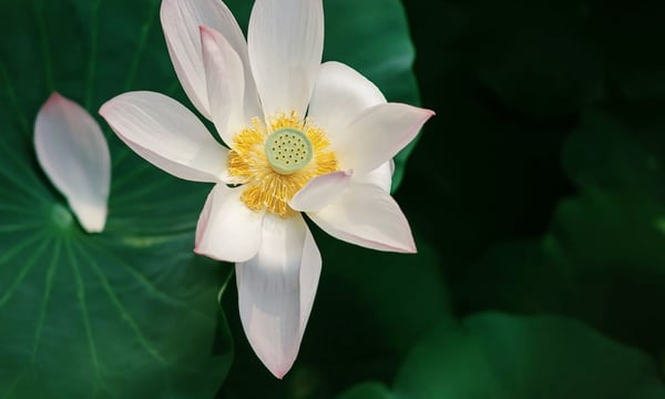 Best of book 8：《The Psychology of Money》