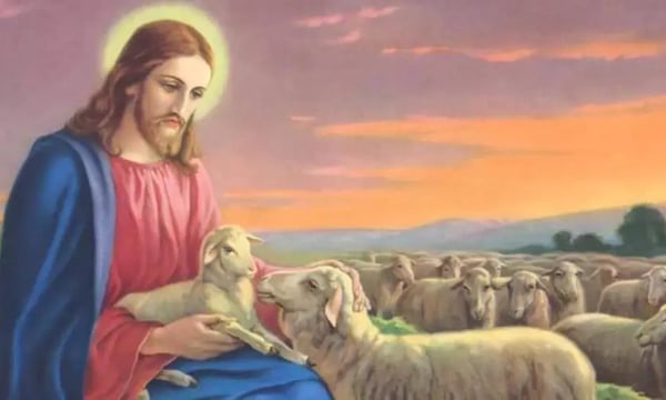 软件开发的人文关怀