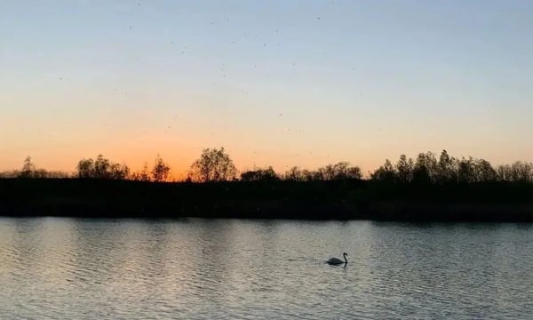 五一假期干点什么好？