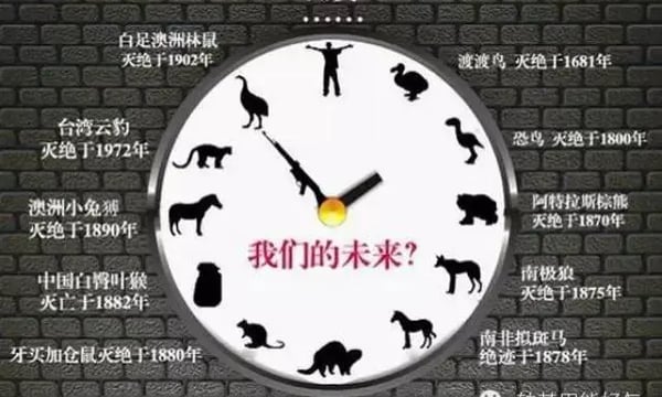 假如生物大灭绝，谁会先失去工作？