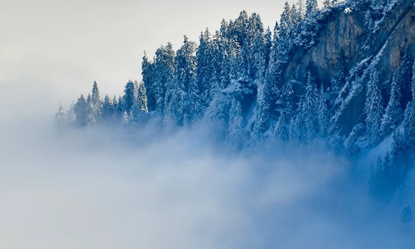 NO14 行色匆匆时别忘了路边盛开的鲜花
