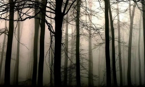 欢迎来到0 day的黑暗丛林