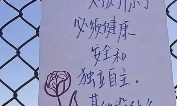 Issue#20 不停探问 4: 脆弱的女性友谊 ？？