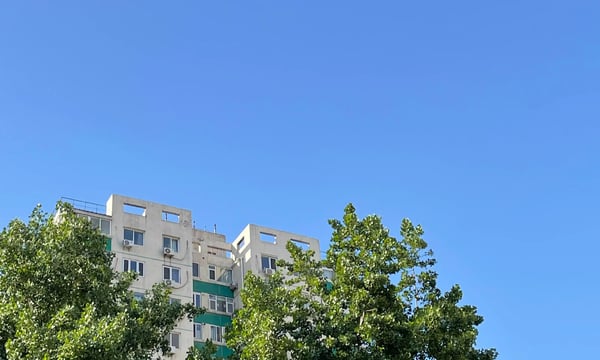 自说自话 #103 高考七年之后