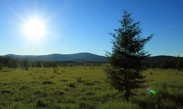 适者生存，谁是适者？