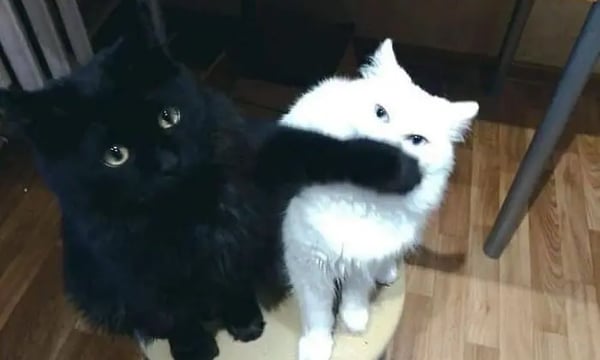 JavaScript Classes Aren't Real Classes