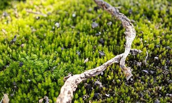 清醒，食物，创作和 AI｜试行错误94