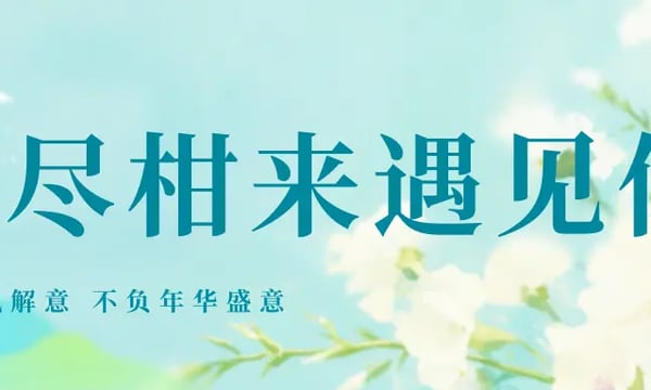 复盘W15-苦尽柑来遇见你