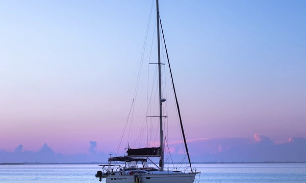 Best of book 4：《自下而上》