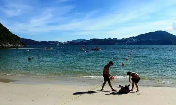 在教师节，谈谈批判思维