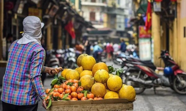 关于“社区团购”，我不知道什么靠谱，但我看来他们都不靠谱