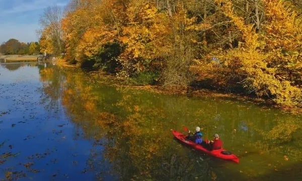 2021我最大的收获