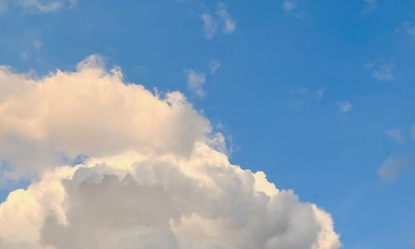 Semi-paranoid #14 世界比你想象得更广阔