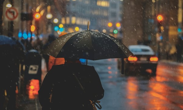 日评⎮风雨飘摇的日子里，抓一把伞