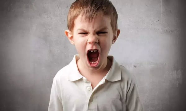 狠心把工作硬塞给部属，就对了