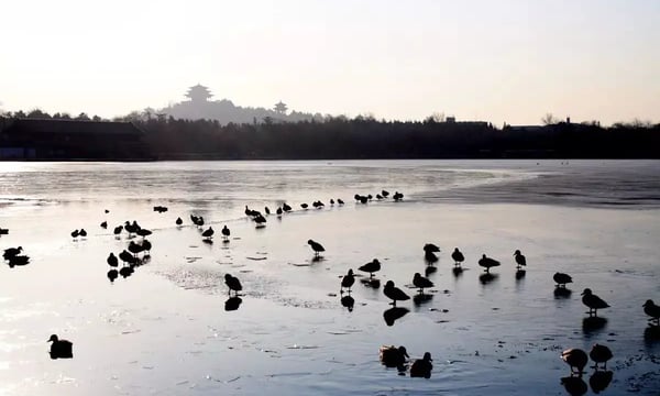 活着也可以不为了改变世界