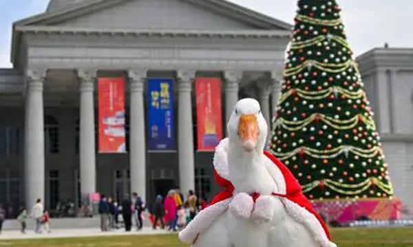 day13扩图分割阳光