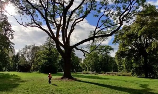 感谢你们，阅读这个公众号