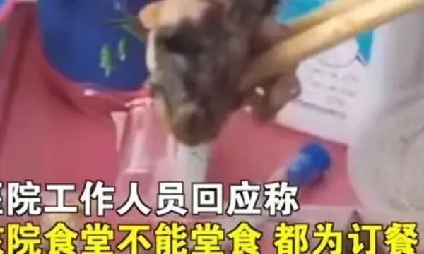 重庆医院食堂吃出老鼠头，这回居然爽快承认了