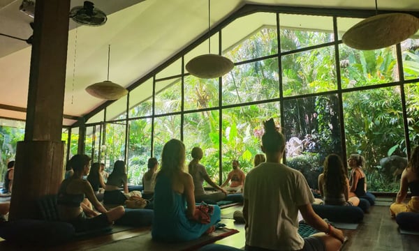 #41 巴厘岛：臣服实验（多图）