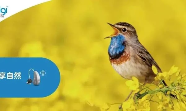声不凡，享自然 | 唯听旗下科赛奇聆时™助听器重磅上市