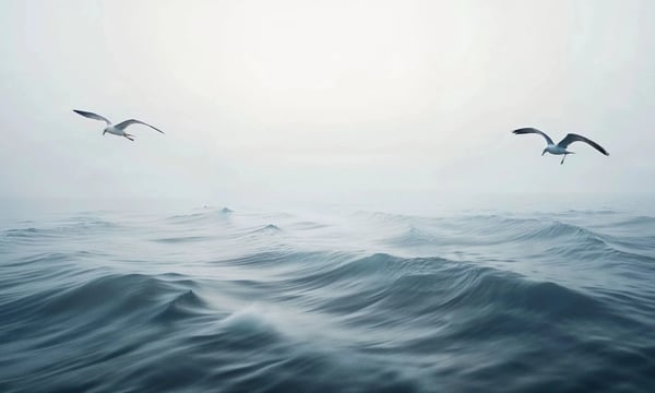 冷板凳周刊 vol. 023