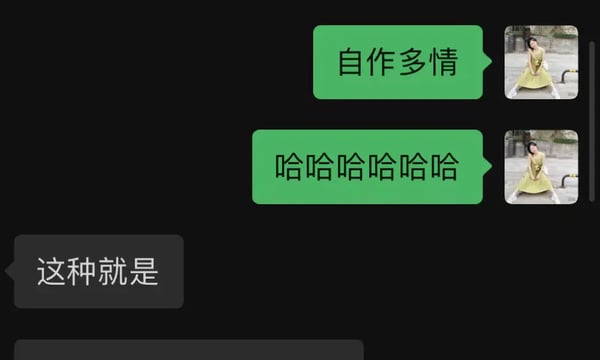 08：春天太好了，该散步和聊爱 | 曲率飞船newsletter