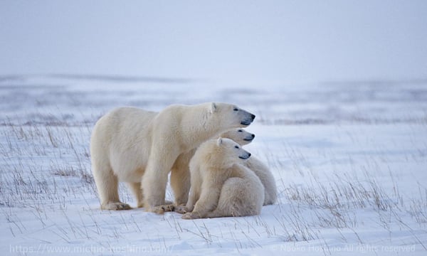 NO26 阅读的功效