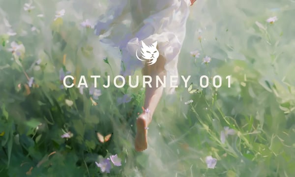 [Catjourney #001] I Hear the Soft Whispers of Your Eyes