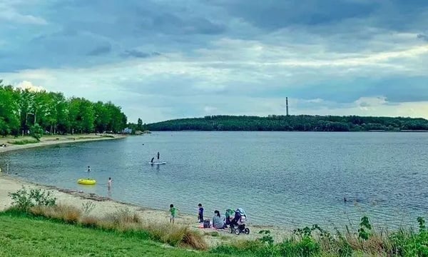 这个周日，看点不一样的