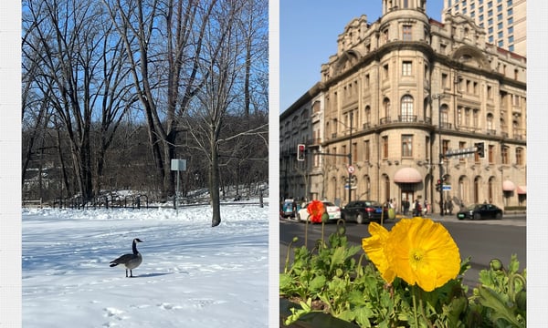 Issue#17 不停探问 1 ：来自童年的探问