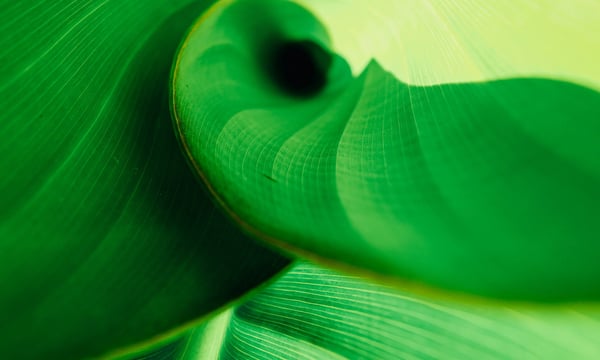 Best of article 11：黄仁勋——打败对手不是目标