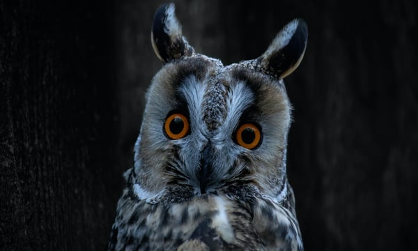 NO5 管理情绪、跟李诞学沟通及荐书