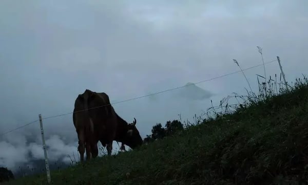 数字时代如何保护个人隐私