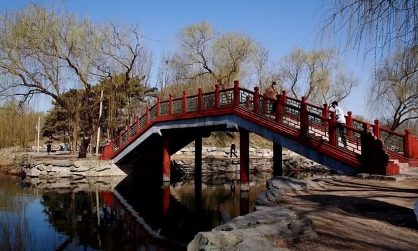 父母在，不远游？