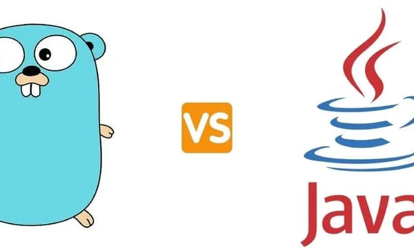 Go & Java，有比较才有伤害