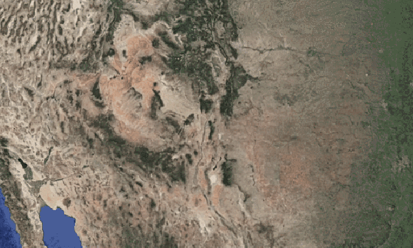 Vol.15 Meow Wolf：商业多巴胺，霓虹迷幻剂