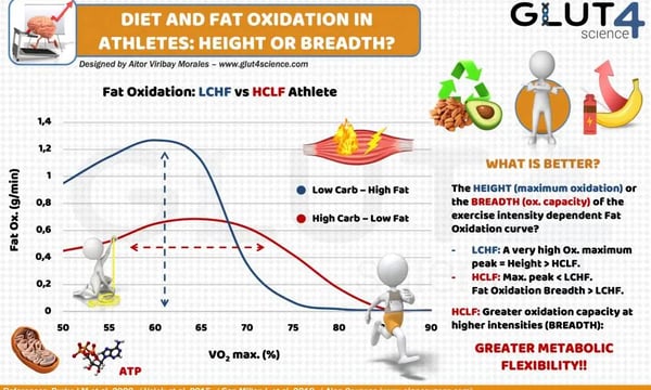 耐力运动中低碳高脂与高碳低脂饮食：你应该如何选择？