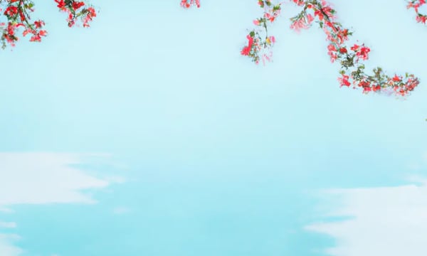 Semi-paranoid #20 Microsoft Designer 试用体验