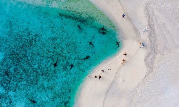 NO1 同理心、数字游民及其他