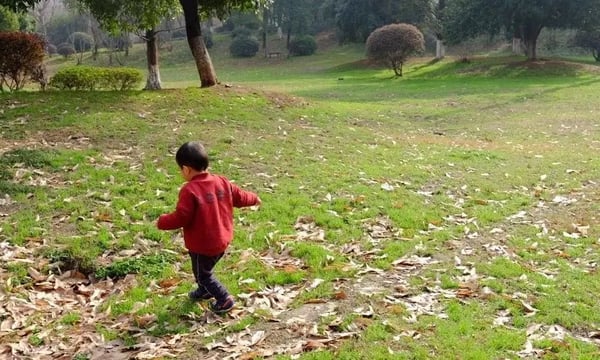 回家过年，谈点感想