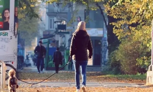 2022年来了，祝你快乐