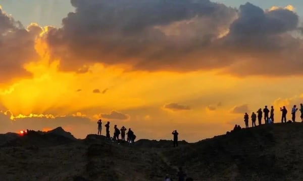 朋友们，2024再见