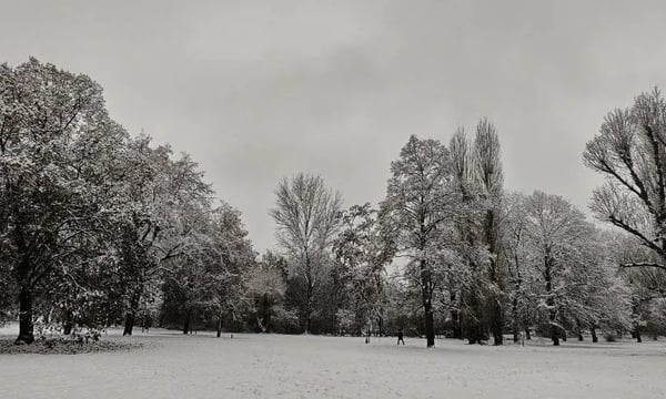 何老说，“这本书你先别出，等我死了再出”
