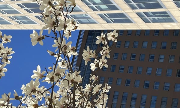 Semi-paranoid #23 「涌现」与科技的祛魅