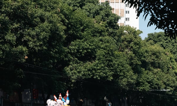 我脑袋里的怪东西 19 - 重走高中路（同福中路西行段）