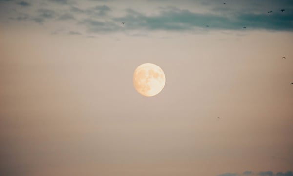 Best of article 3 “无用”知识的有用性