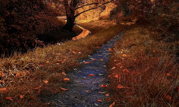 Vol 12 Google新设计系统Material You全面上线、网红经典婺源篁岭背后的商业运作