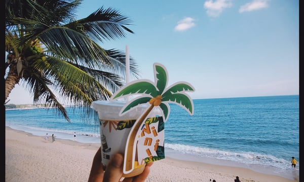 026（上） | Sanya 2023 - 在三亚爱上冲浪！一则游记 🏝